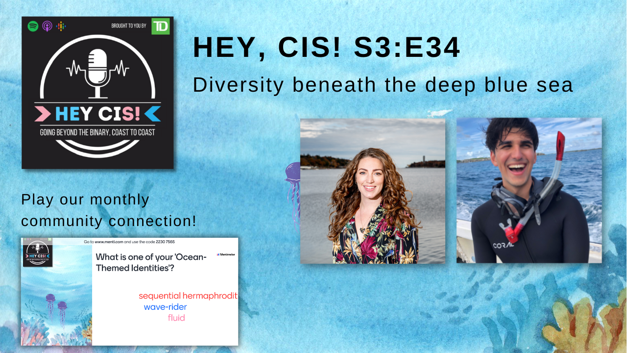 ocean sketch background with Hey, Cis! logo and images of episode guests title reads Diversity Beneath the Deep Blue Sea